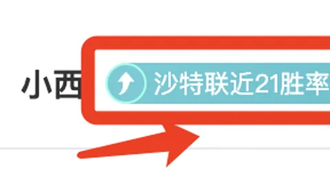 龙卷风主场再战连冠潮，飓风挑战能否掀波澜？